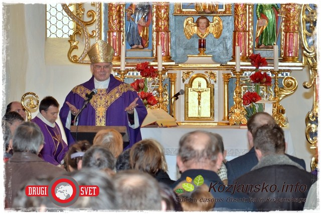 Orgle je blagoslovil celjski škof pred številnim občestvom